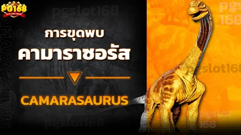 การขุดพบ คามาราซอรัส