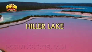 พาชม Hiller Lake