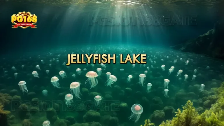 พาชม Jellyfish Lake