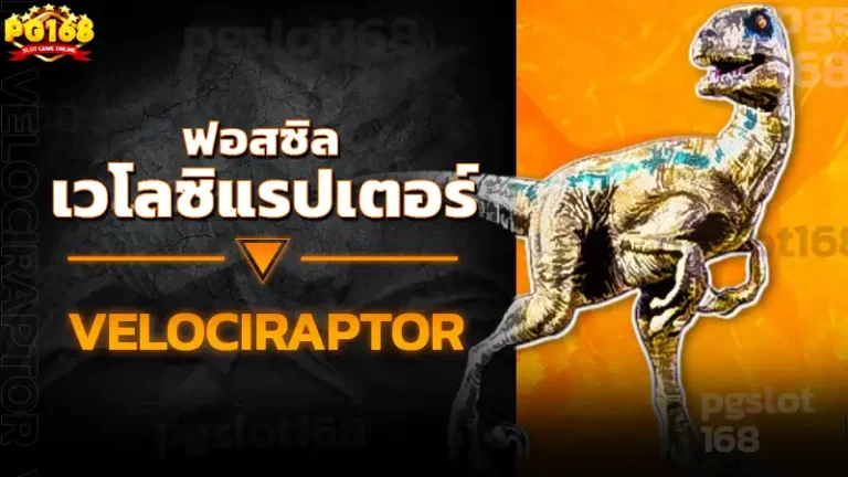 ฟอสซิล เวโลซิแรปเตอร์