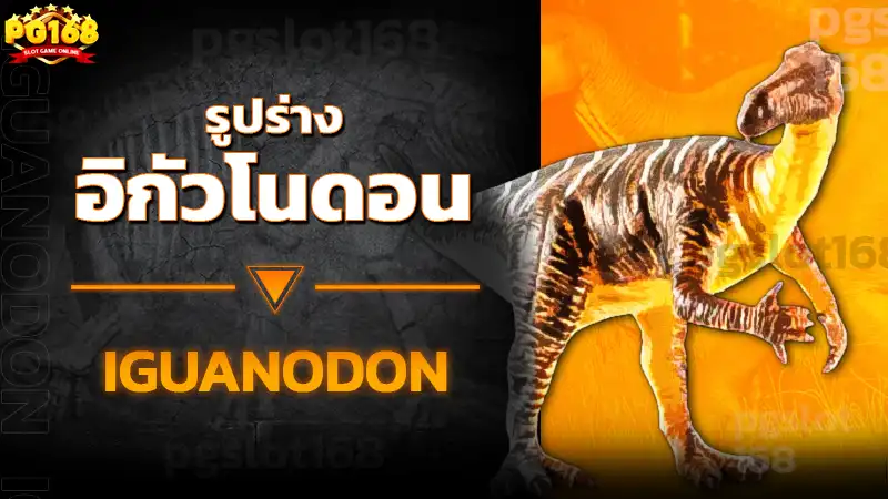 รูปร่าง อิกัวโนดอน