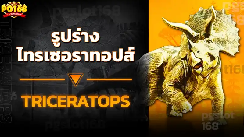 รูปร่าง ไทรเซอราทอปส์