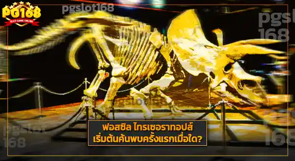 รูปร่าง ไทรเซอราทอปส์