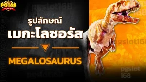 รูปลักษณ์ เมกะโลซอรัส
