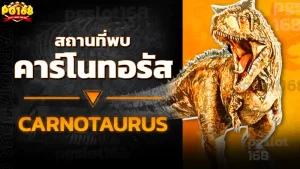 สถานที่พบ คาร์โนทอรัส