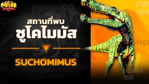 สถานที่พบ ซูโคไมมัส