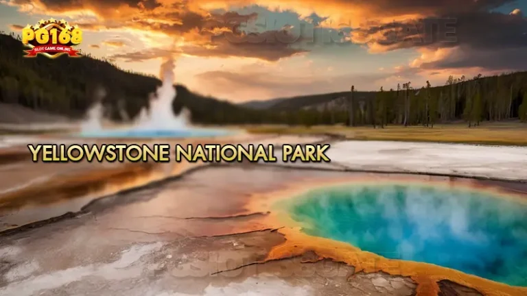 Yellowstone National Park