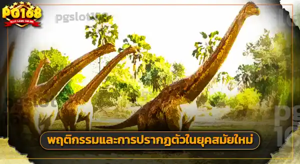 การค้นพบ แรปเปโตซอรัส