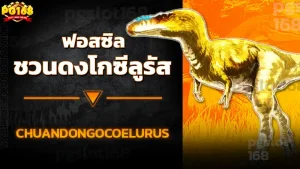 ฟอสซิล ชวนดงโกซีลูรัส