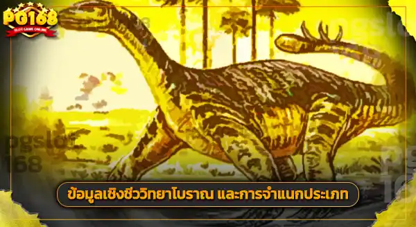 ฟอสซิล ชินชาเกียงโกซอรัส