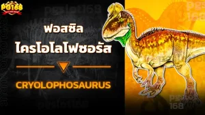 ฟอสซิล ไครโอโลโฟซอรัส