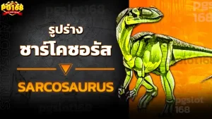 รูปร่าง ซาร์โคซอรัส