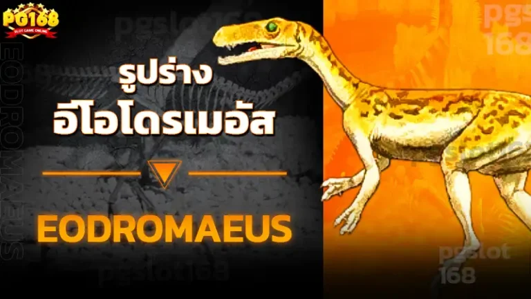 รูปร่าง อีโอโดรเมอัส