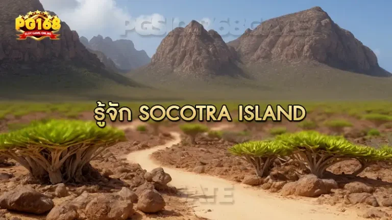 รู้จัก Socotra Island