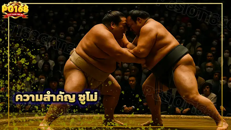 ความสำคัญ ซูโม่