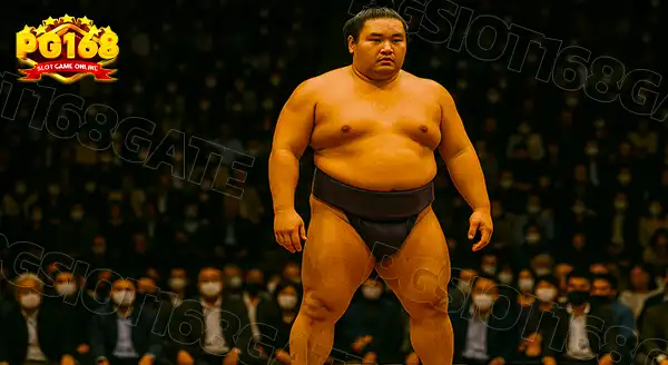 ความสำคัญ ซูโม่