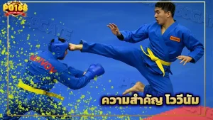 ความสำคัญ โววีนัม