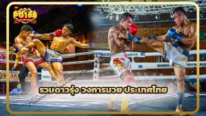 รวมดาวรุ่ง วงการมวย ประเทศไทย