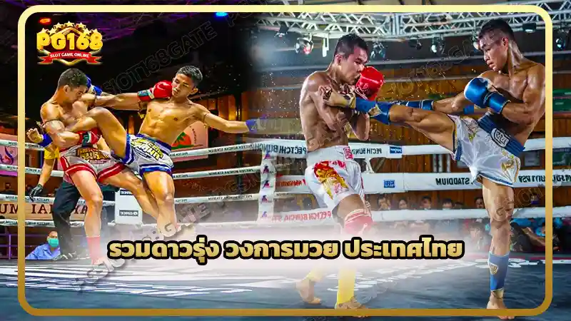 รวมดาวรุ่ง วงการมวย ประเทศไทย