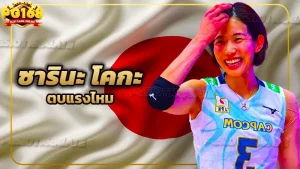 ซารินะ โคกะ ตบแรงไหม