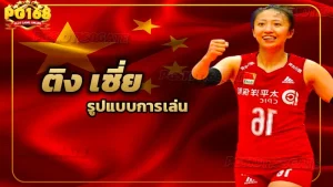 ติง เซี่ย รูปแบบการเล่น