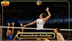 ตำแหน่งบีหลัง ที่เก่งที่สุด