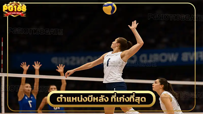 ตำแหน่งบีหลัง ที่เก่งที่สุด