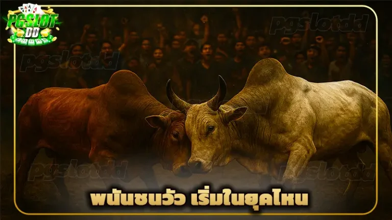 พนันชนวัว เริ่มในยุคไหน