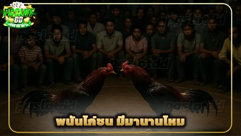 พนันไก่ชน มีมานานไหม