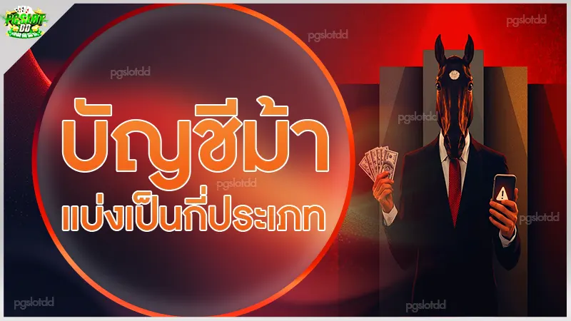 บัญชีม้า แบ่งเป็นกี่ประเภท