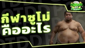 กีฬาซูโม่ คืออะไร