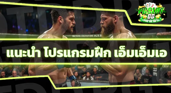 กีฬาเอ็มเอ็มเอ เป็นอย่างไร