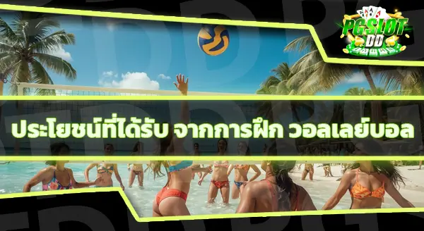 ข้อมูลกีฬา วอลเลย์บอล