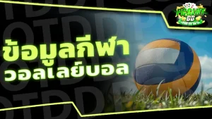 ข้อมูลกีฬา วอลเลย์บอล