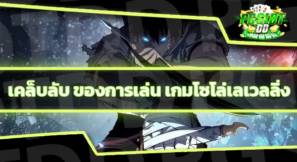 นำเสนอเกม โซโล่เลเวลลิ่ง