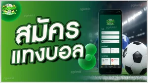 สมัคร แทงบอล