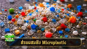 ส่วนผสมลับ Microplastic