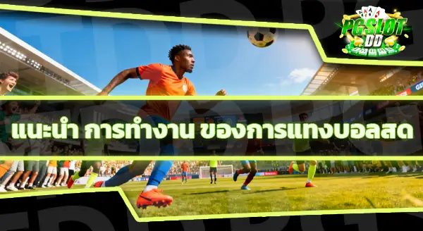 แทงบอล สด