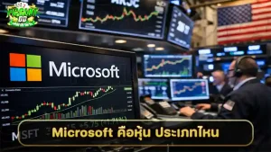 Microsoft คือหุ้น ประเภทไหน