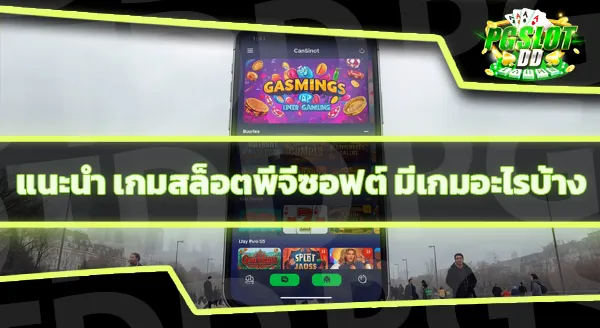 pgslotdd มีการเดิมพันรูปแบบไหนบ้าง