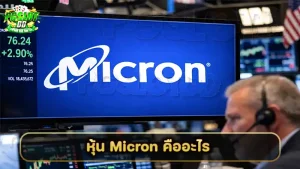 หุ้น Micron คืออะไร
