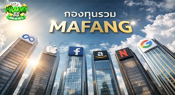 MAFANG มีกำไร จริงหรือไม่