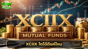 XCIIX โตได้ดีแค่ไหน