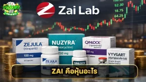 ZAI คือหุ้นอะไร