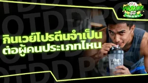 กินเวย์โปรตีนจำเป็น ต่อผู้คนประเภทไหน