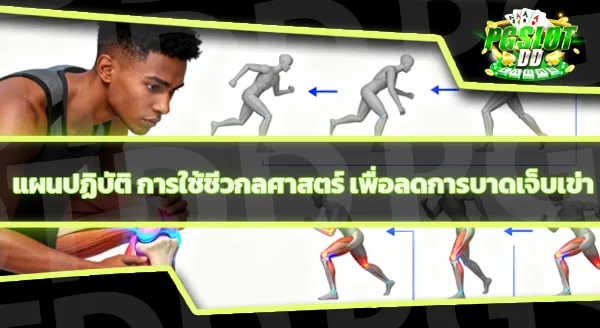 ชีวกลศาสตร์ ช่วยลดการบาดเจ็บเข่าอย่างไร