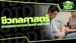 ชีวกลศาสตร์ ช่วยลดการบาดเจ็บเข่าอย่างไร