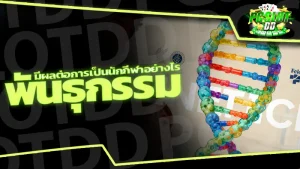 พันธุกรรม มีผลต่อการเป็นนักกีฬาอย่างไร