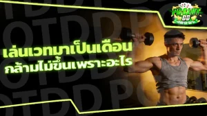 เล่นเวทมาเป็นเดือน กล้ามไม่ขึ้นเพราะอะไร